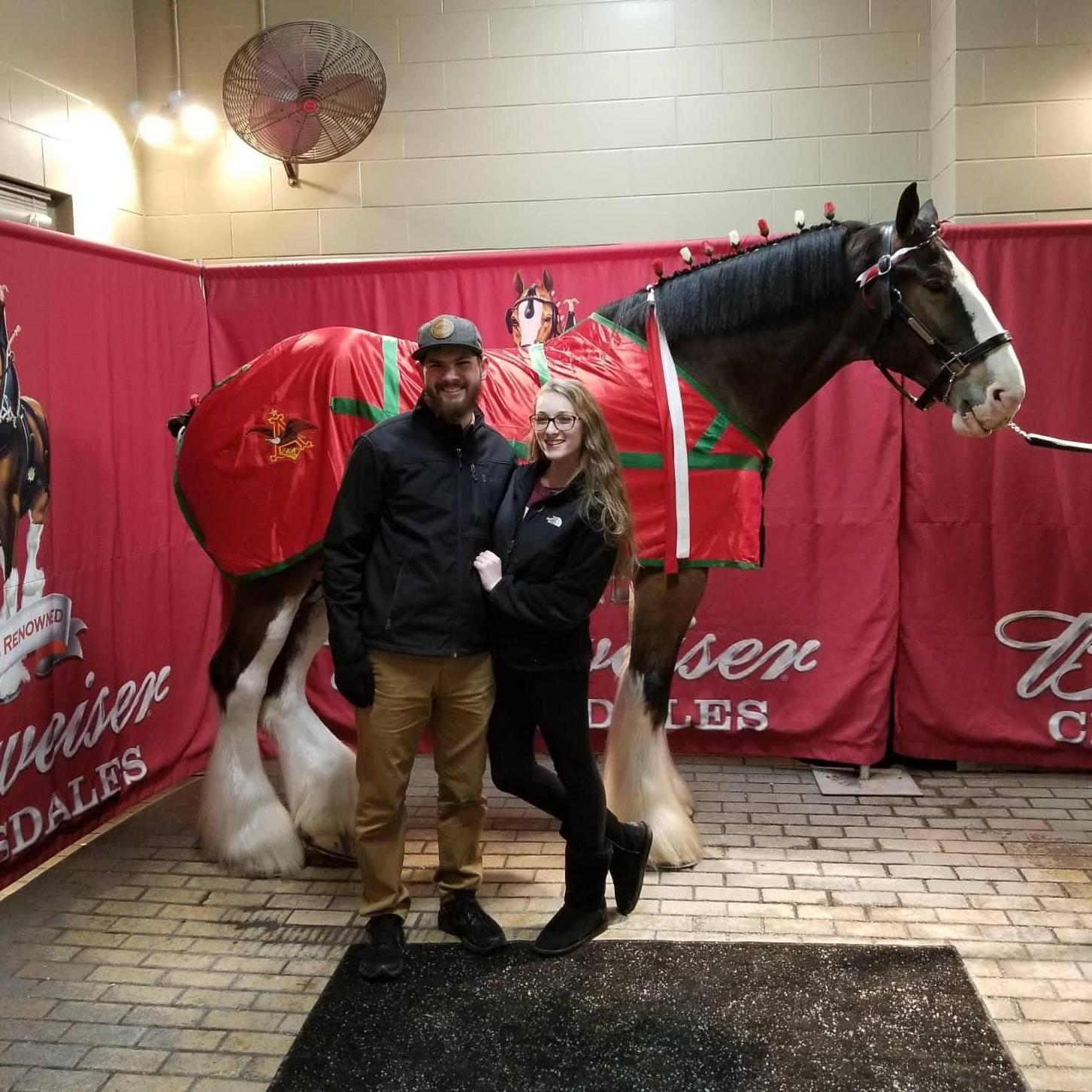 Anheuser-Busch Christmas light display - 2017