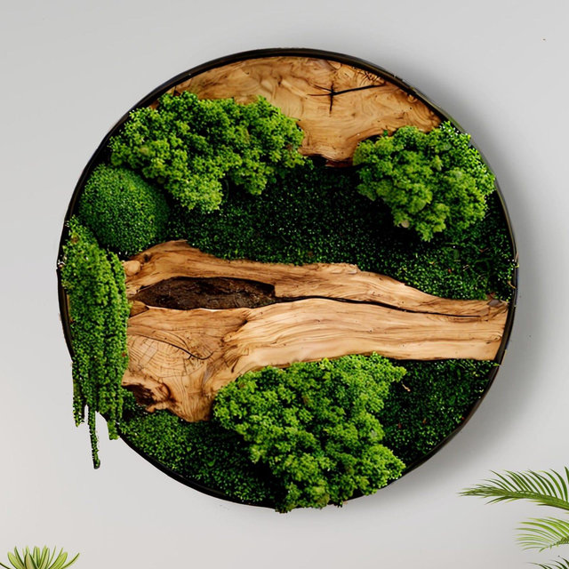 Natural moss and wood, Moss art circle, Ready to Hang moss wall art, Green moss paintings, Real plant wall decor
