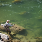 Fly Fishing