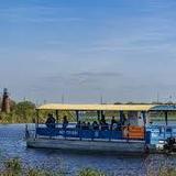 Florida Everglades Eco Toon Tours