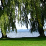 Stewart Park