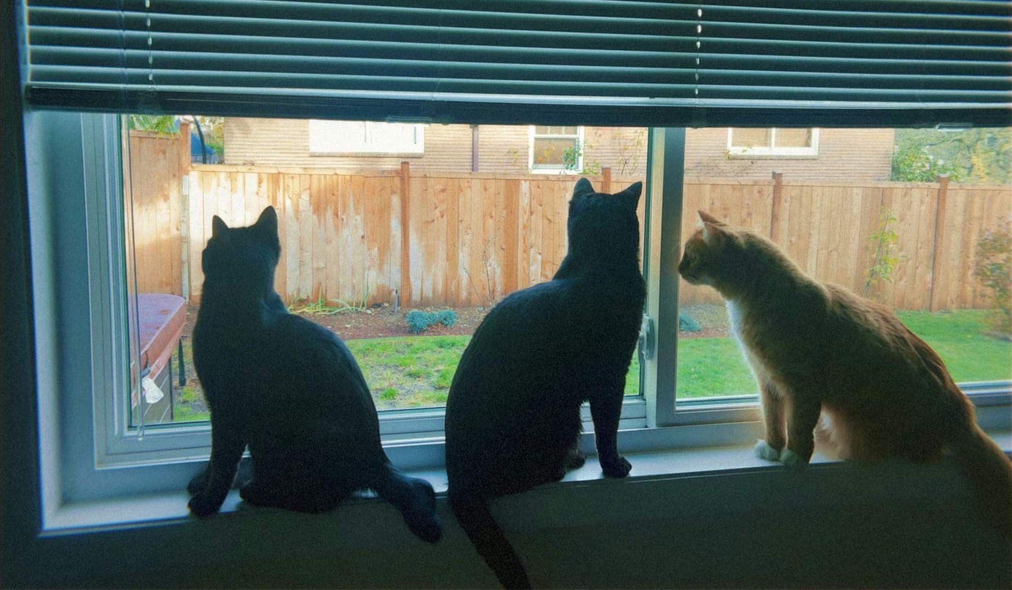 Hero Slideshow Image 4