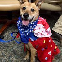 Boomer loves to dress up for the parades