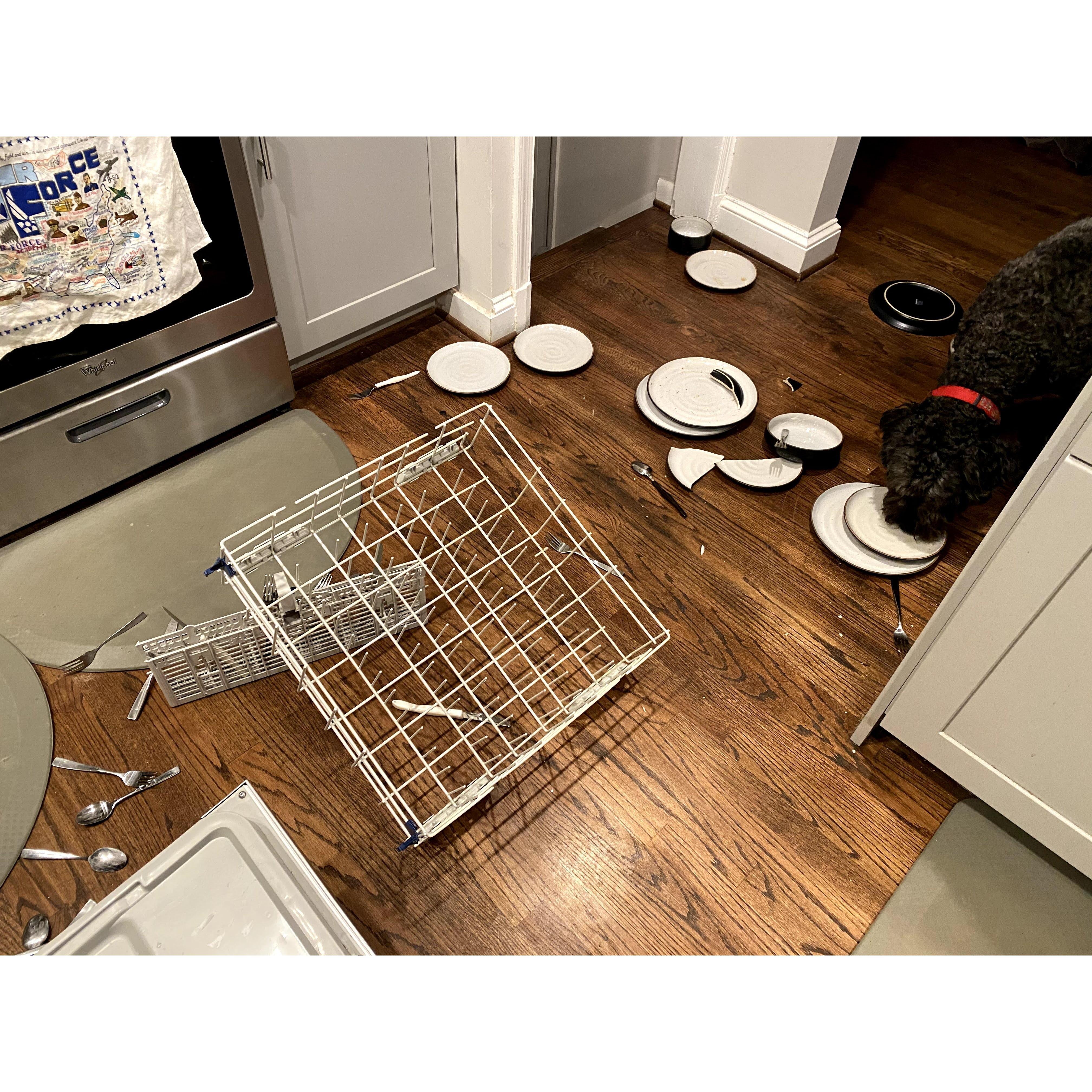 Why we're registering for so many plates
