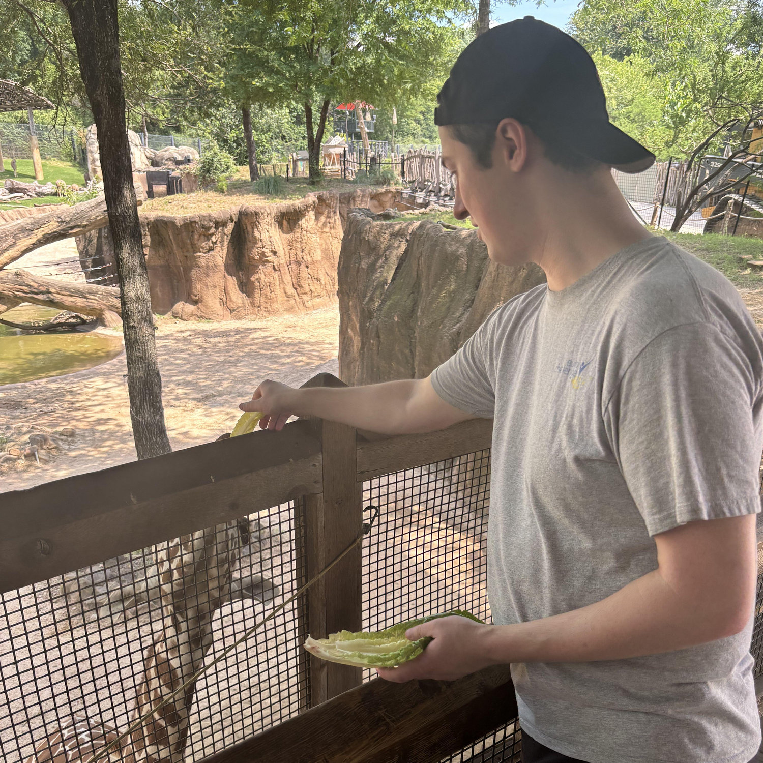 Our first date after making it "official" Ryan took Chloe to see the giraffes on maybe the hottest day ever.