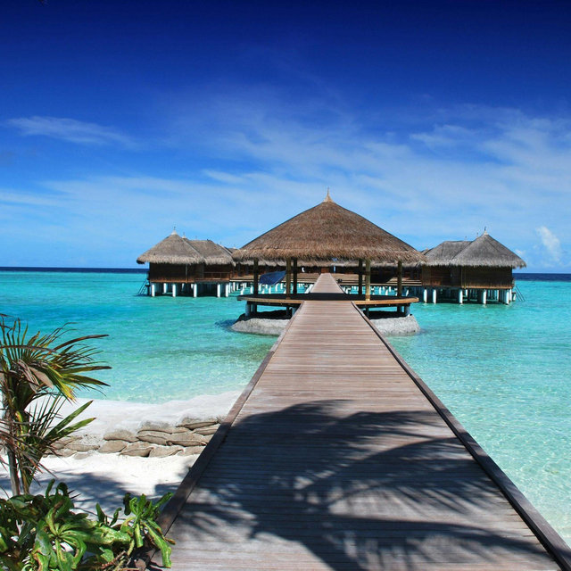 Our Honeymoon Fund🏝️