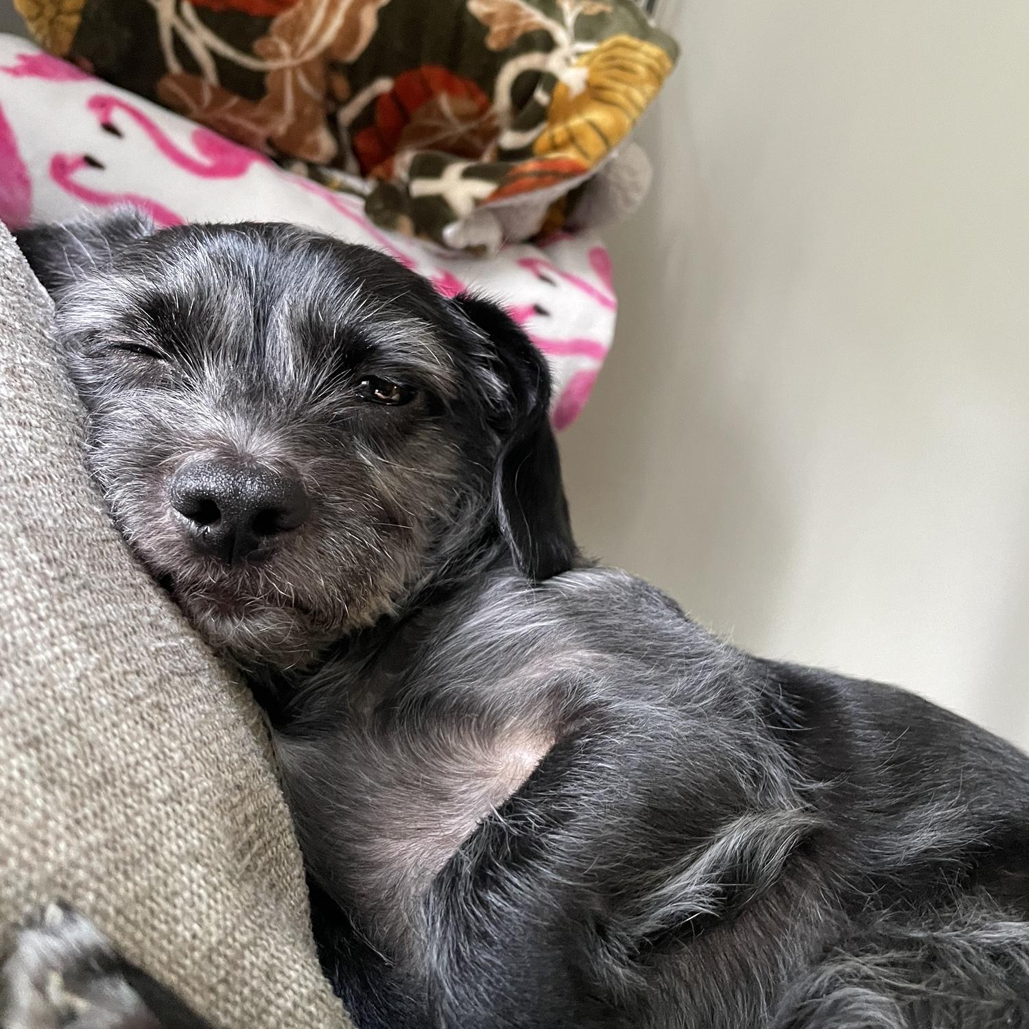 Henry's Ode to Sleep Part 5.