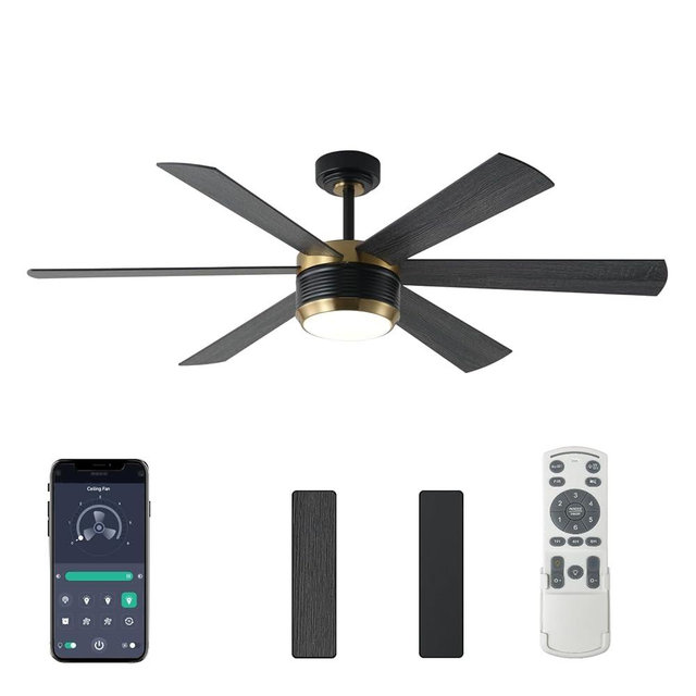 SHOWDI Ceiling Fan with Lights and Remote, 6 Blade App Control Timer Reversible Stepless Brightness and Color Temperature Outdoor Wood Ceiling Fan with Lights (Black-Gold, 56 Inch)
