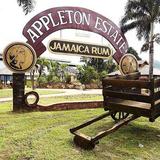 Appleton Estate
