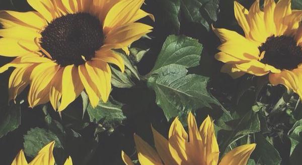 Footer image