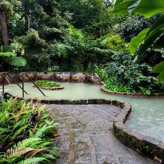 Full-Day Whales & Furnas Hot Springs with Botanic Gardens for 2 - Portugal