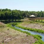 La Chua Trail