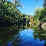 Barton Creek Greenbelt