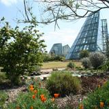 San Antonio Botanical Garden