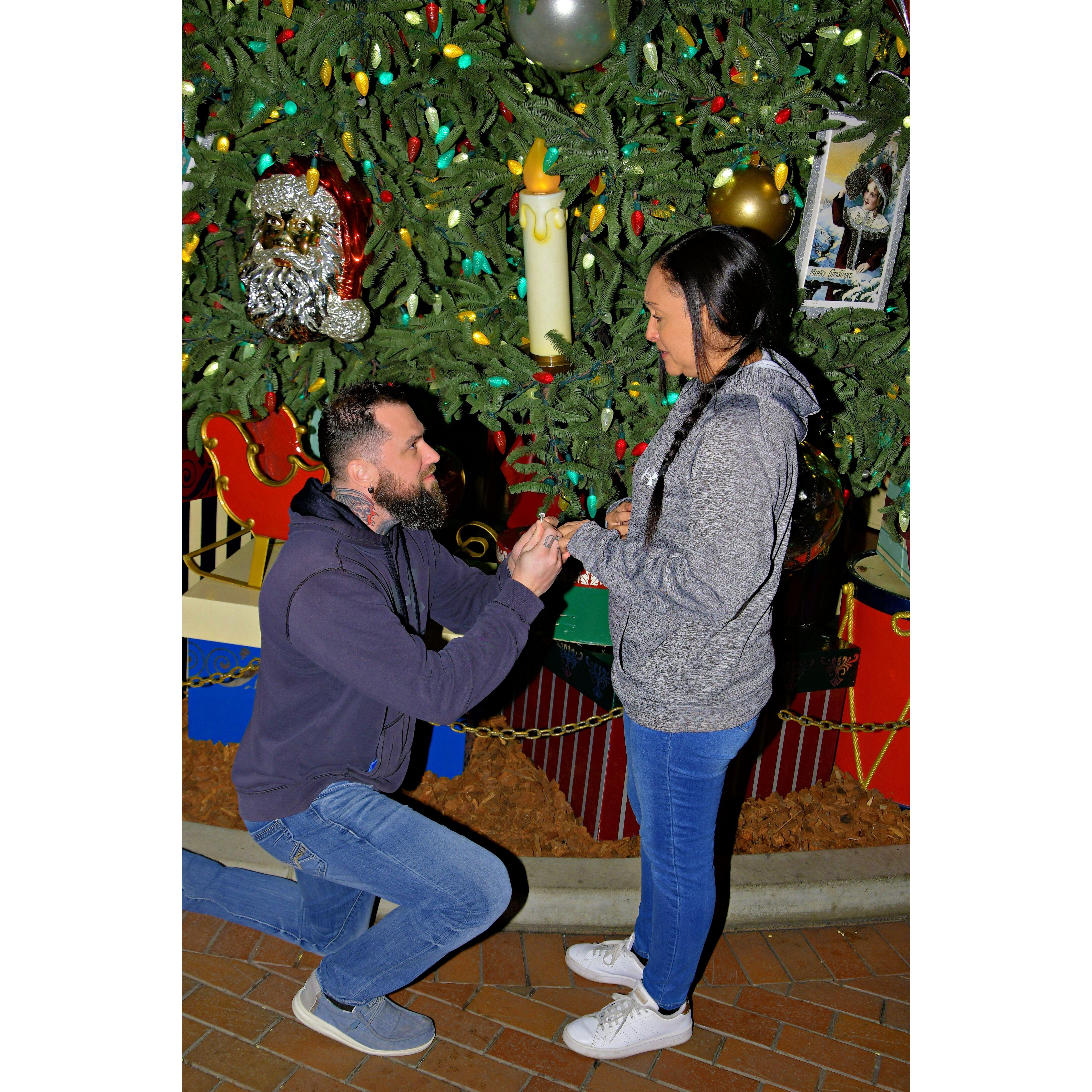 On bended knee...