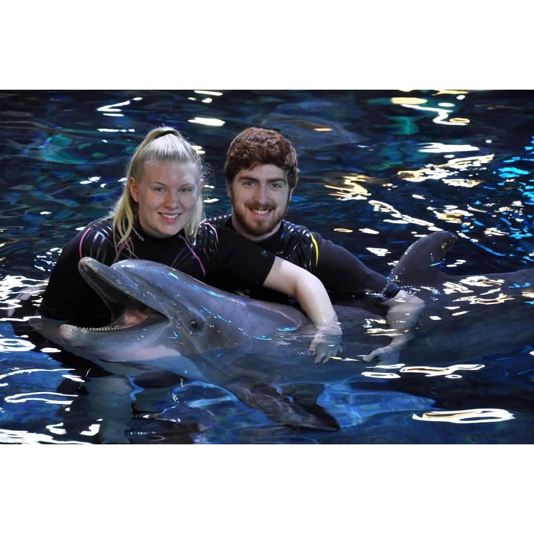 Swimming with Dolphins for Kayleigh's Birthday 2019 at Epcot