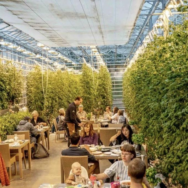 Iceland Adventure: Lunch at Friõheimar Greenhouse