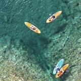 Seafari Adventures Boat Trips