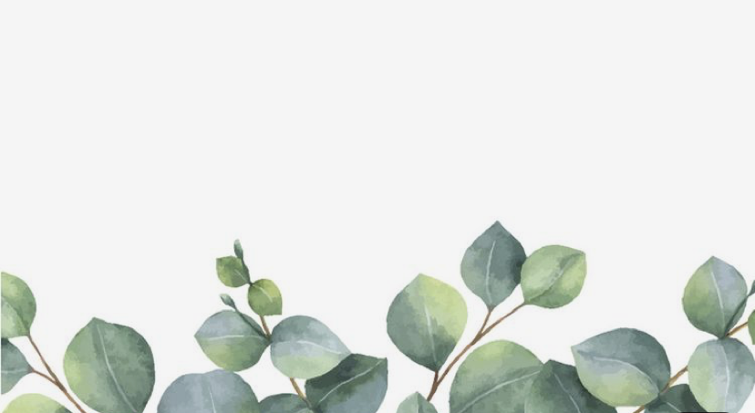 Footer image