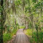 Jean Lafitte National Historical Park and Preserve, Barataria Preserve