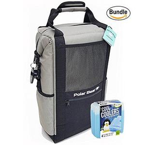 Polar Bear Coolers Nylon Solar Bear Series Backpack Size 18 Pack Silver & Fit & Fresh Cool Coolers Slim Ice 4-Pack (Bundle)