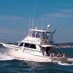 Islander Sport Fishing Charters