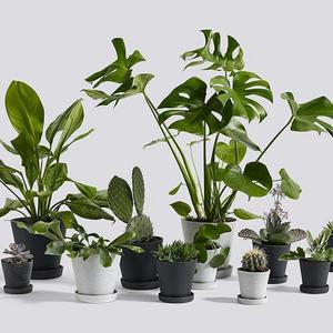 Hay Flowerpot With Saucer - Medium
