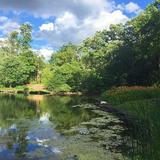 Hyatt Lodge Oak Brook