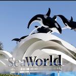 SeaWorld Orlando