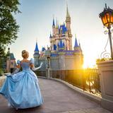 Walt Disney World® Resort
