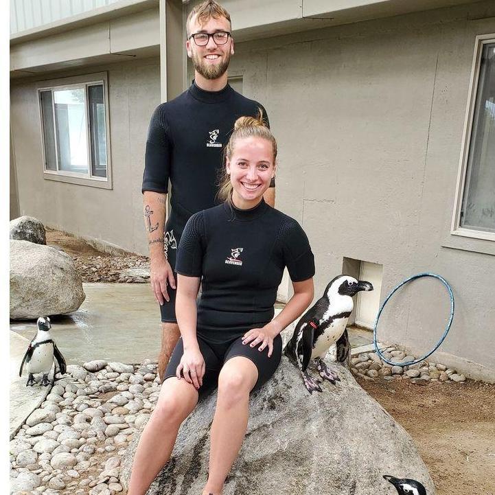 July 15, 2020 - Swimming with the penguins at Tanganyika Wildlife Park