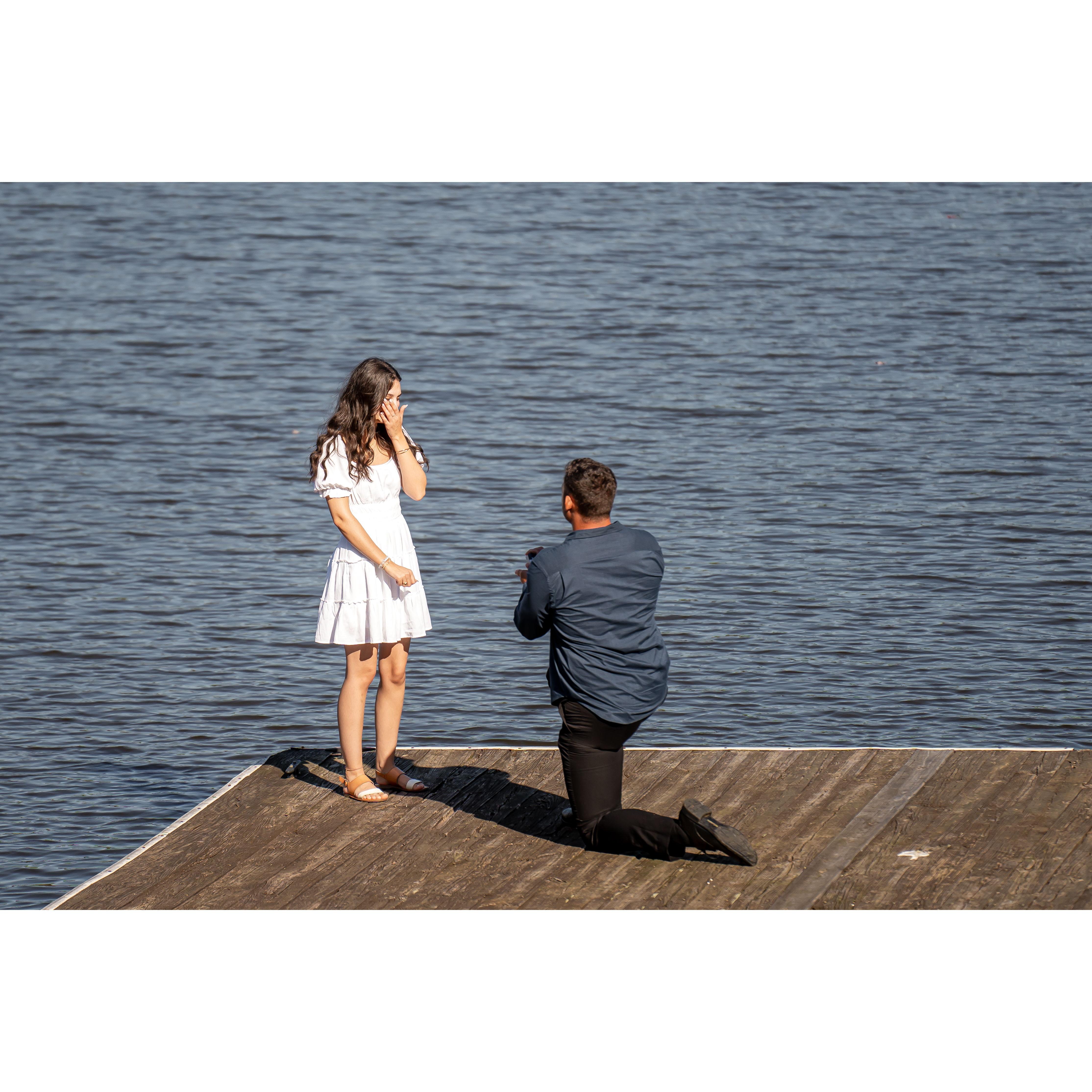 The Proposal