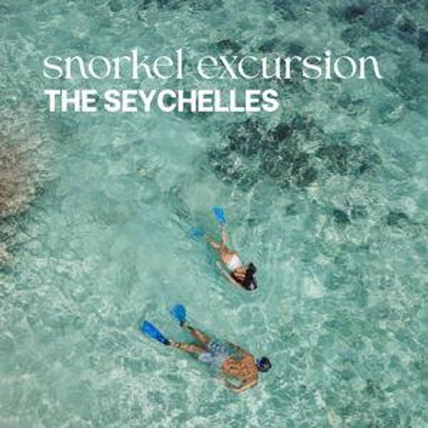 Snorkeling in the Seychelles