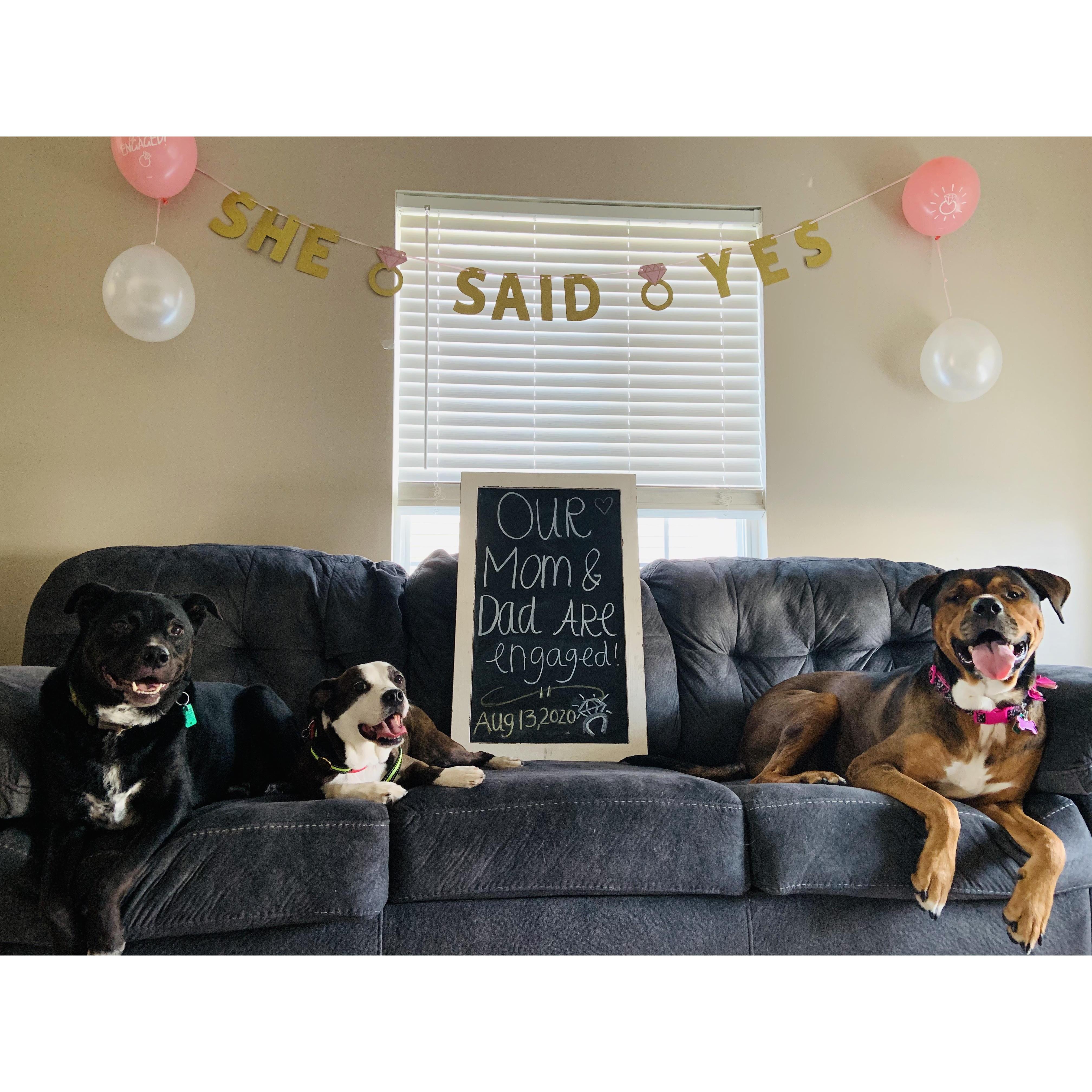 Our fur babies! <3