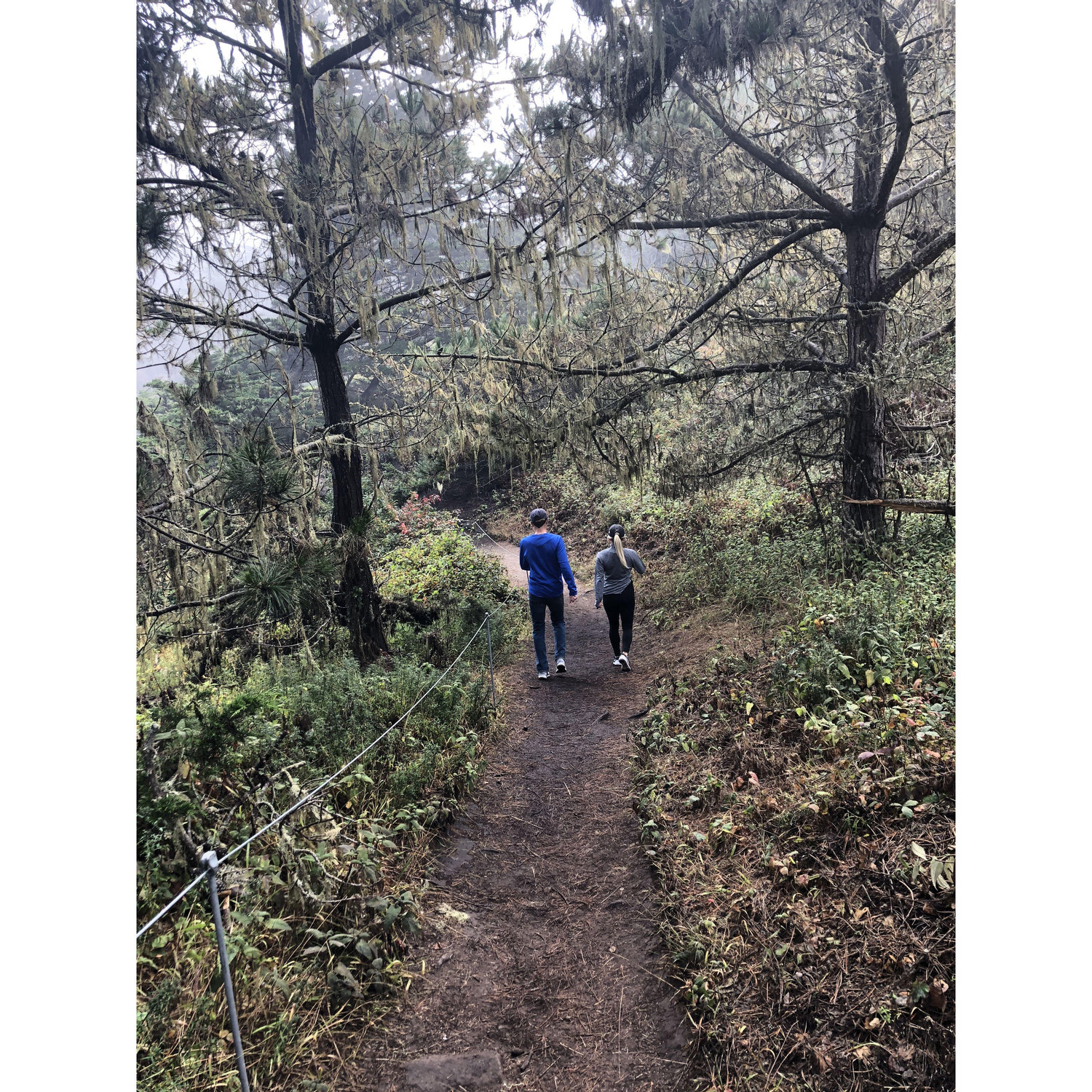 Hiking out West near Pebble Beach