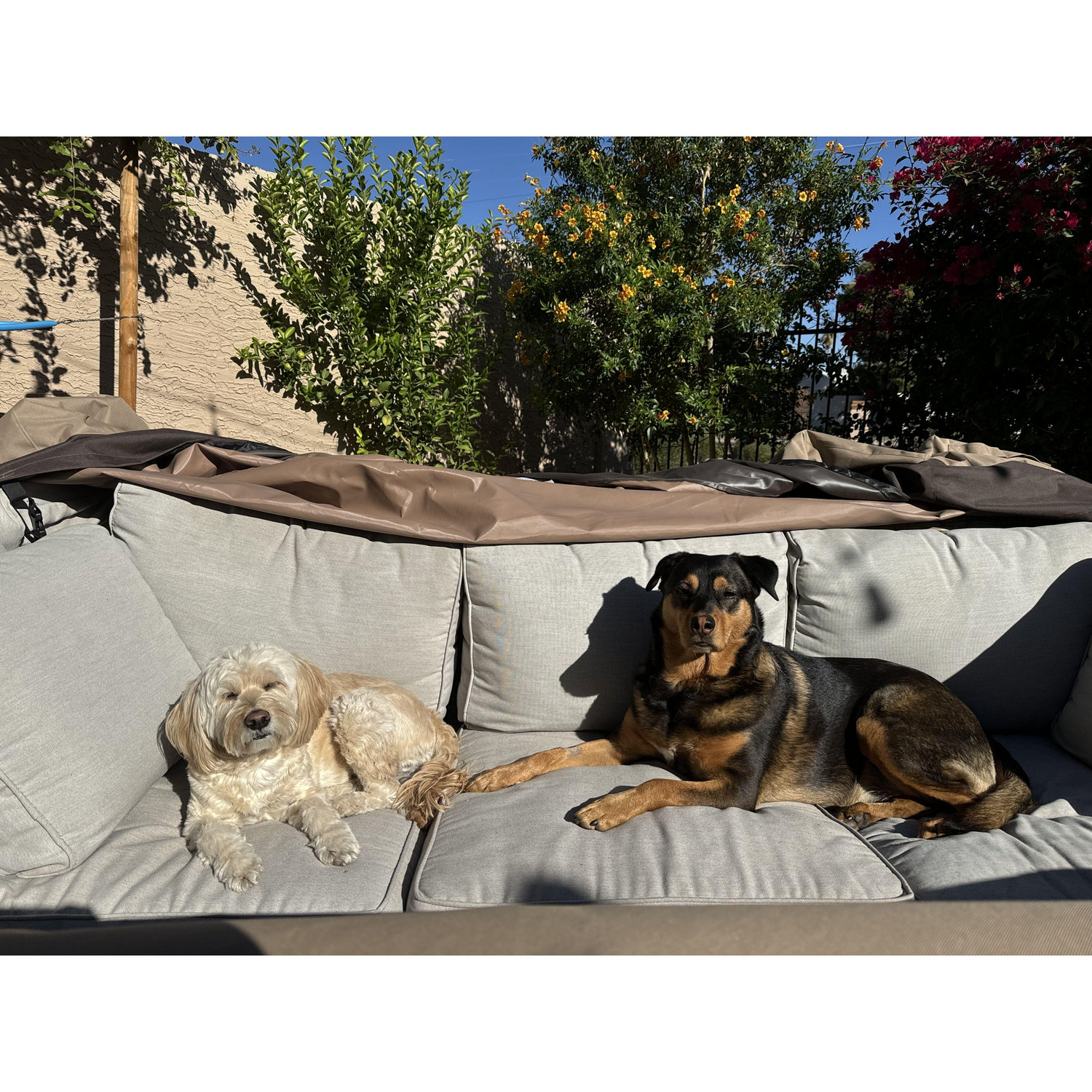 Always sunbathing