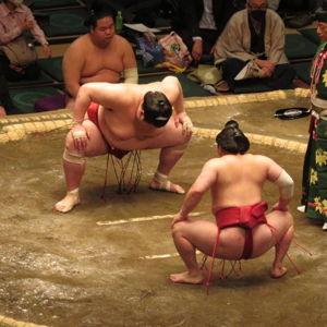 Sumo Wrestler Luncheon in Tokyo