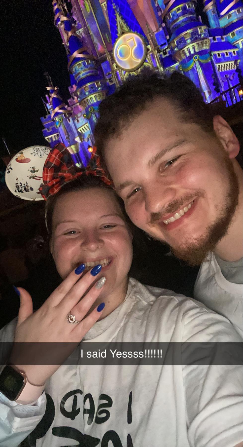 Disney proposal