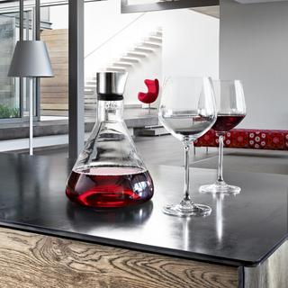 Wine Decanter with Aerator