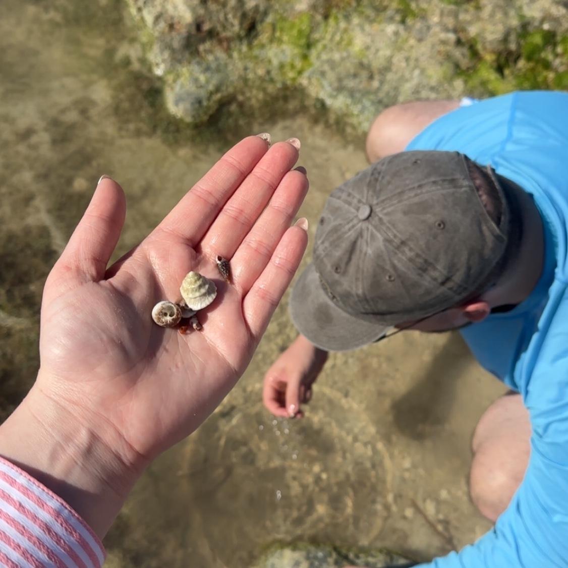 Looking for shells 🐚 in Key West
