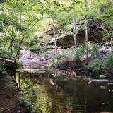 Beaman Park
