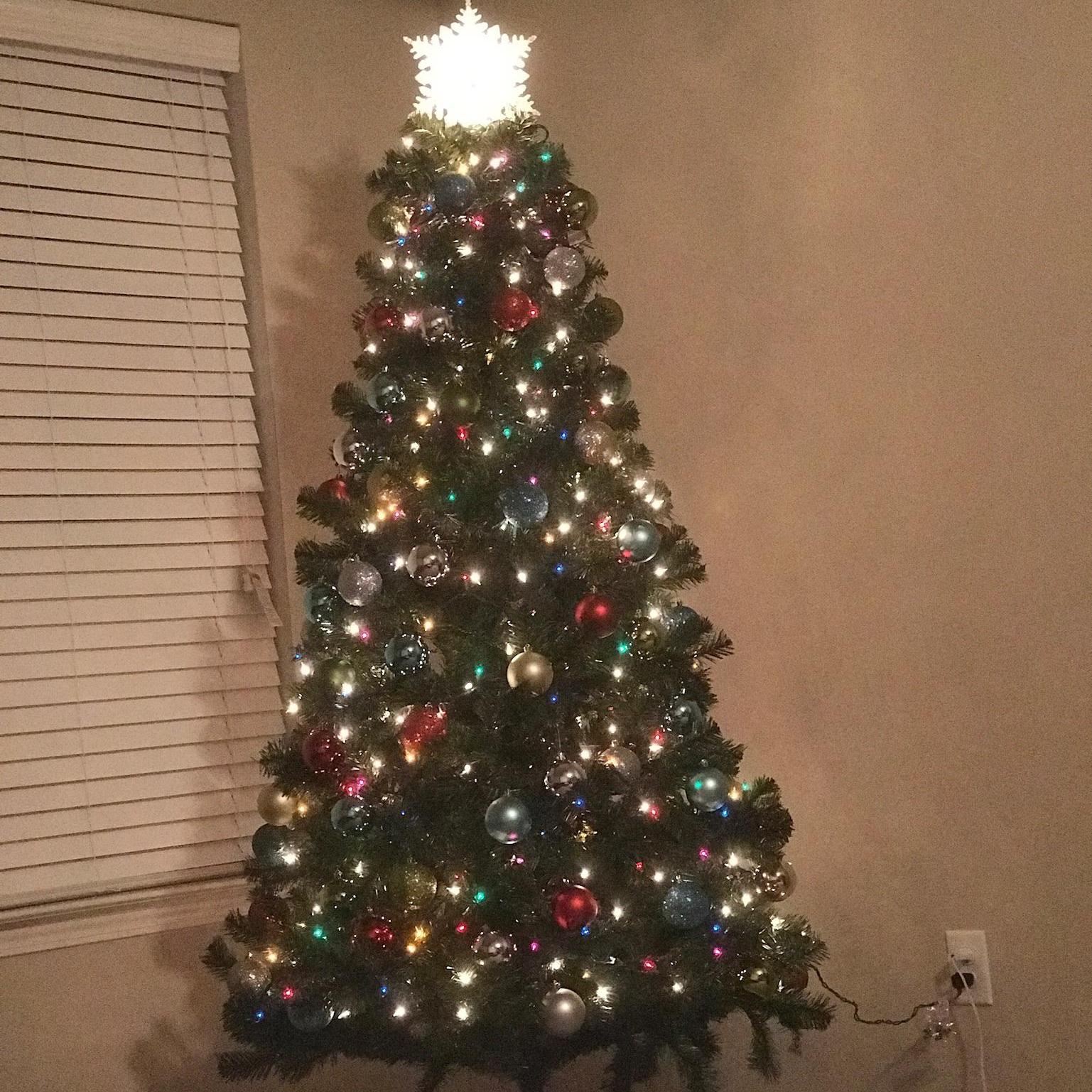 Our first Christmas tree in Eric's new apartment.  One of our favorite holidays!