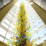Oklahoma City Museum of Art