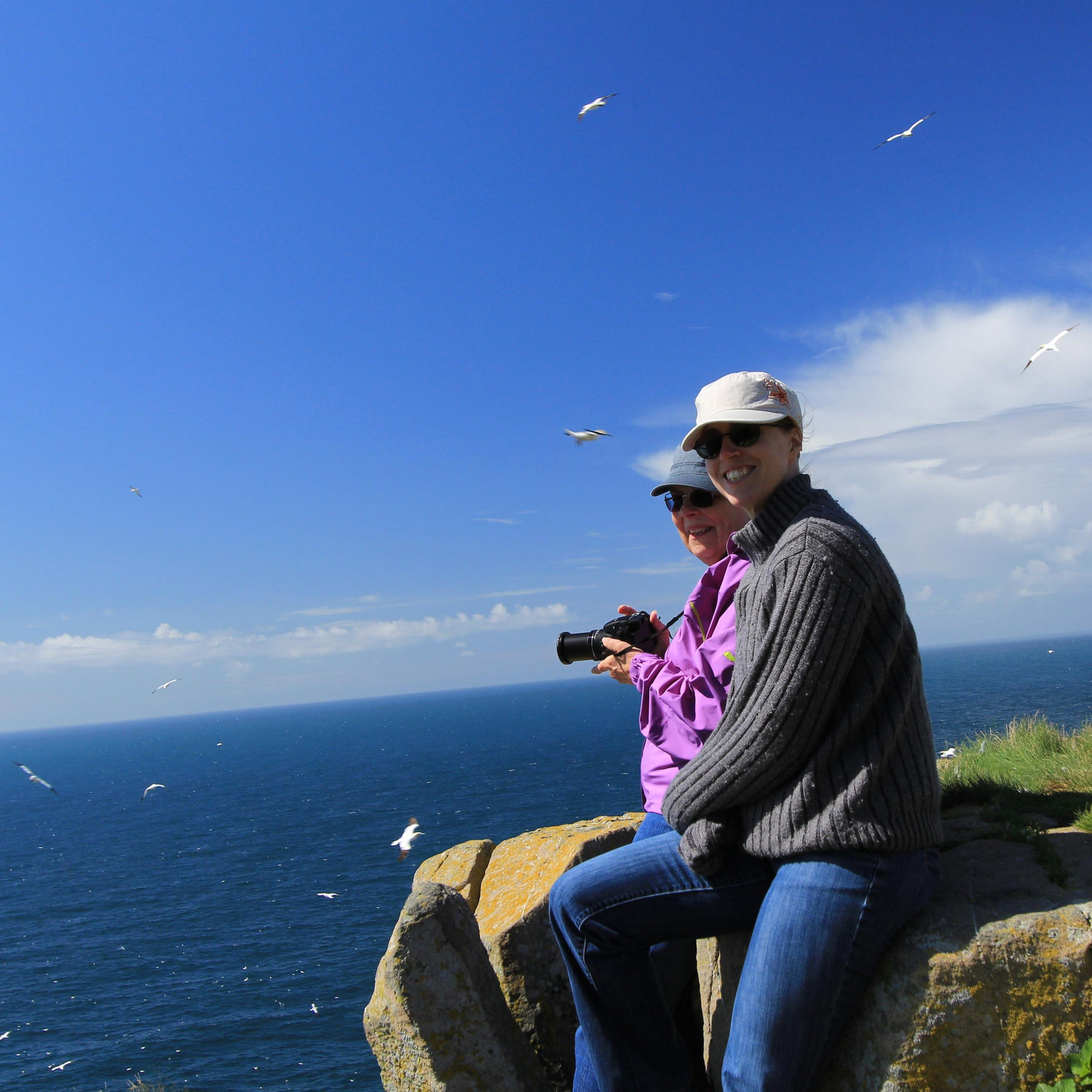 Cape St Marys, NL
