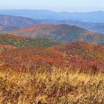 See the fall color!
