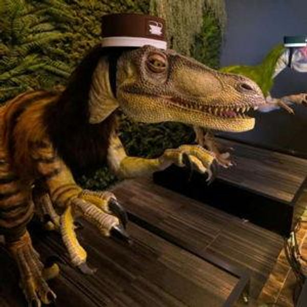 Dinosaur Hotel 3 Nights
