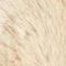 Ginger Beige
