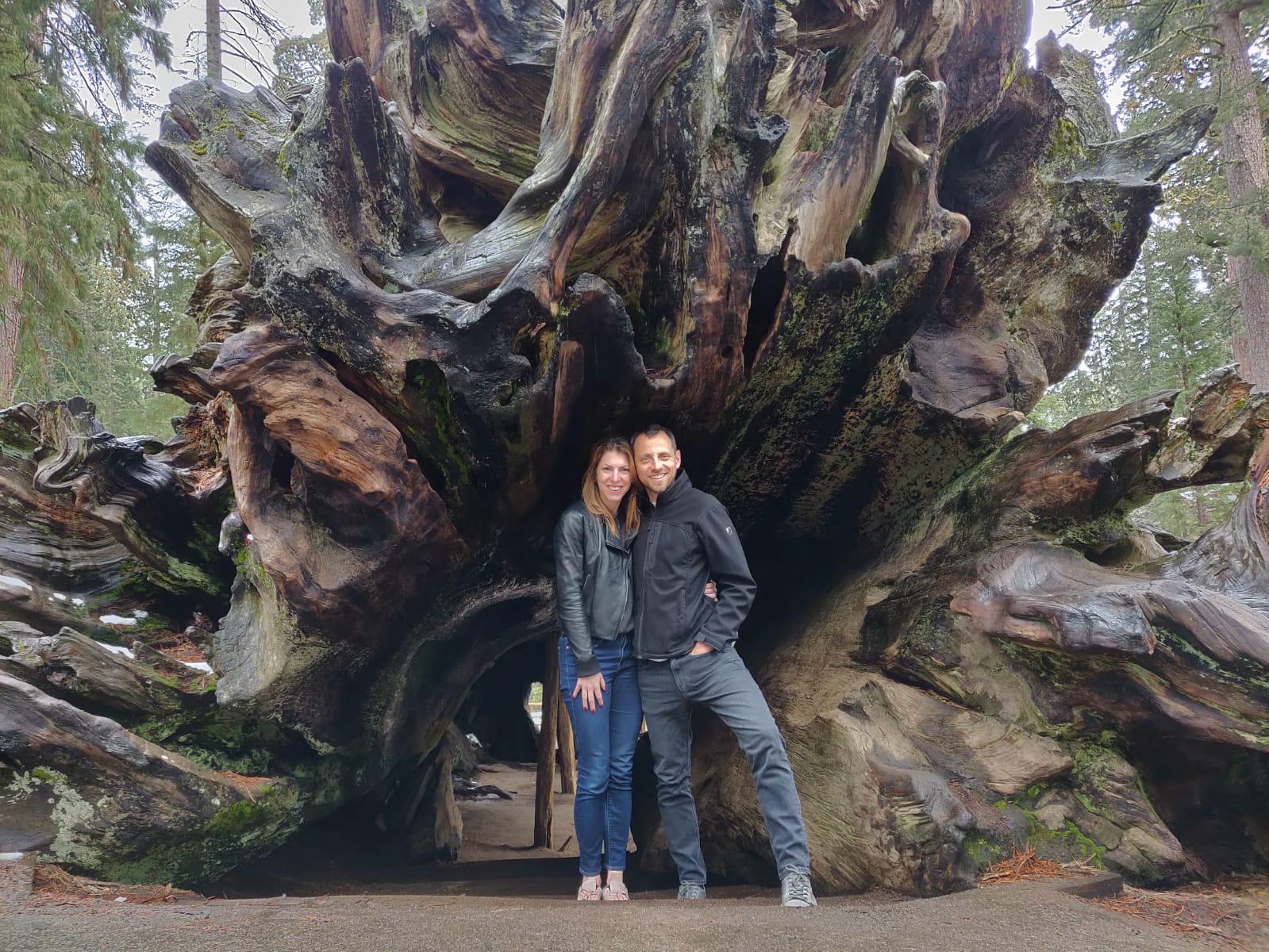 Big Bear National Park, April 2019