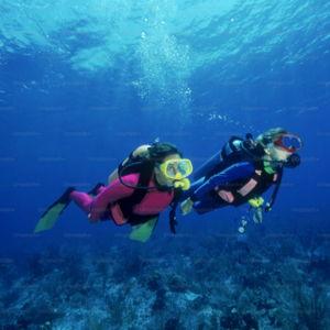 Honeymoon: Dive Day for Two 🤿