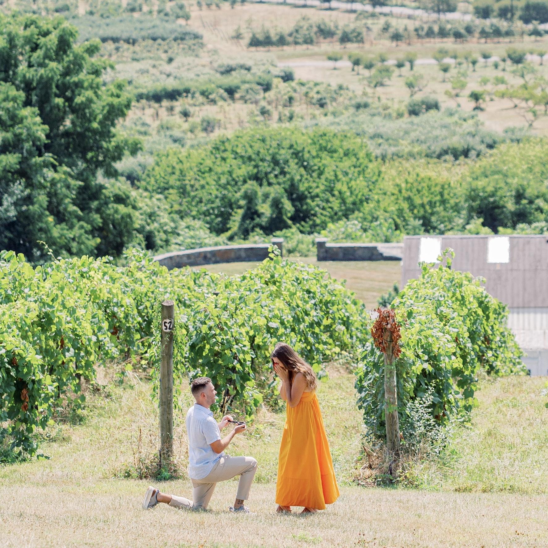 Our Engagement! 07/13/2024 at Bluemont Winery - the best day!
